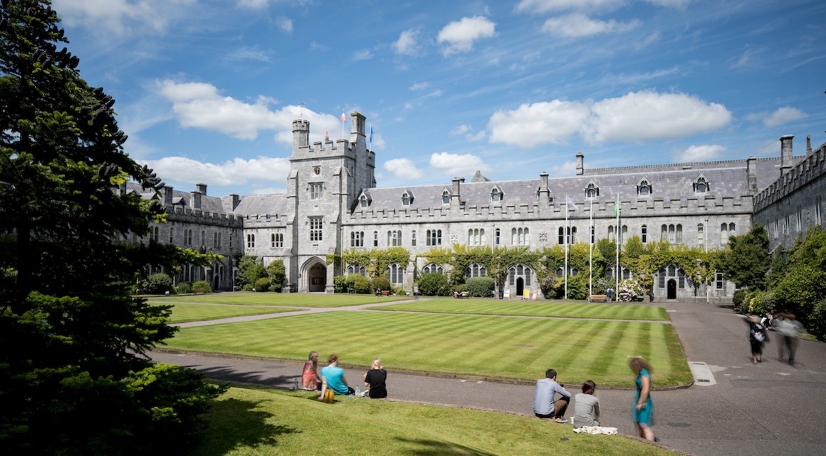 Calling all Munster Alumni/Members – Wine & Canapés Event at UCC