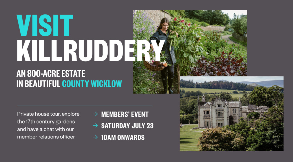 Members’ Event: A visit to Killruddery Estate